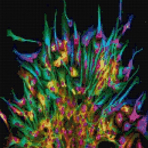 May include: Abstract digital art with a vibrant color palette of green, blue, yellow, and purple. The colors are arranged in a swirling, chaotic pattern, creating a sense of movement and energy.