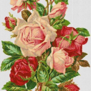 Puede incluir: Un ramo de rosas rosas y rojas con hojas verdes. Las rosas están dispuestas en un racimo, con las rosas rosas en el centro y las rosas rojas alrededor de los bordes.