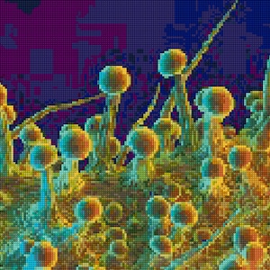 May include: A close-up of a cluster of colorful, abstract, mushroom-like shapes. The shapes are mostly yellow and green, with some blue and purple accents. The background is a blurry purple and blue.