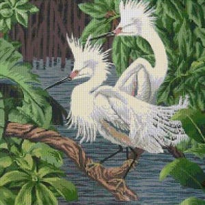 Peut inclure: Deux aigrettes blanches au long cou et aux plumes blanches sont perchées sur une branche dans un cadre tropical vert luxuriant. Les oiseaux se font face, la tête légèrement inclinée. L'arrière-plan est un flou de feuilles et de branches vertes.