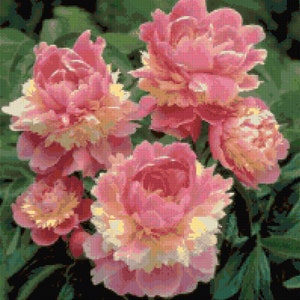 Pink Peonies No.2 Cross Stitch pattern PDF - Instant Download!