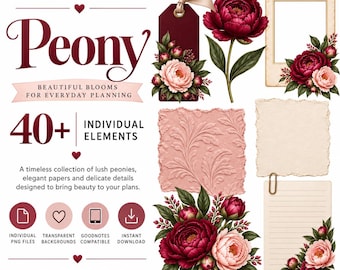 Adesivi digitali floreali di peonia, clipart PNG, adesivi per agenda GoodNotes, grafica botanica