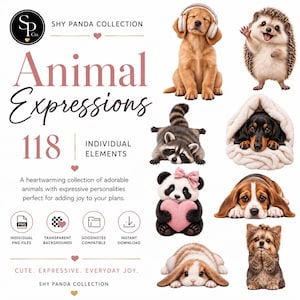 Puede incluir: Una colección digital titulada Shy Panda Collection Animal Expressions con 118 elementos individuales. El gráfico muestra ilustraciones de un golden retriever con auriculares, un erizo saludando, un mapache, un perro en una manta, un panda con un corazón, un basset hound, un conejo y un perro pequeño, además de iconos de formato de archivo.