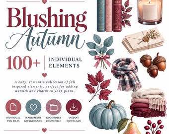 Adesivi digitali autunnali per agenda, clipart autunnali in formato PNG, adesivi per GoodNotes, elementi digitali autunnali dalle tonalità rosate