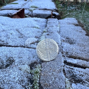 Könnte beinhalten: Ein silberfarbenes, rundes Objekt mit einem wellenförmigen Muster. Es liegt auf einer verwitterten Holzoberfläche, bedeckt mit Frost. Das Bild wurde im Freien bei natürlichem Licht aufgenommen.