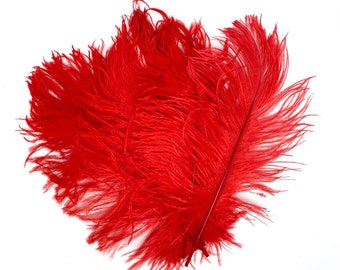 Cenfry 30Pcs Piume Di Struzzo 12 - 35,6 Cm Piume Di For Wedding