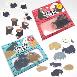 Rote Pandas nd Ameisenbären / Hunde und Katzen- Sticker, Aufkleber
