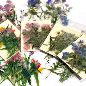 Pegatinas / pegatinas de hojas y flores 40 piezas cada una