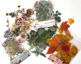 Adesivi/adesivi foglie e fiori 40 pezzi ciascuno