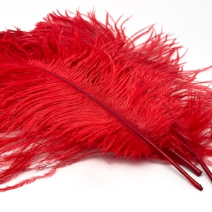 Ostrich feathers red &quot;25 -30 cm&quot; feather