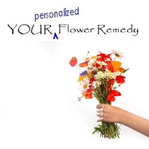 PERSONALIZED FLOWER REMEDY 1 fl. oz includes assessment/consultation