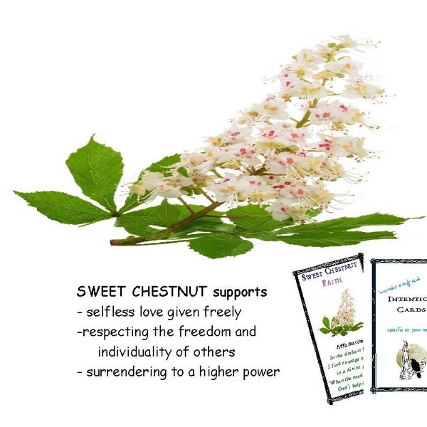 SWEET CHESTNUT develops "deep courage/faith in knowing and trusting the spiritual world."   FES