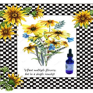 DYI FLOWER ESSENCE remedy, flower essence, pellets/drops, - multiple flowers in a single remedy