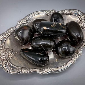Amber palm stones large amber polished pebbles natural amber fossil palmstones