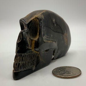 Tigerauge Schädel Stein schnitzen metaphysischen Mineral Tigerauge geschnitzten Kristall Schädel schnitzen länglichen Schädel schnitzen Alien-Schädel
