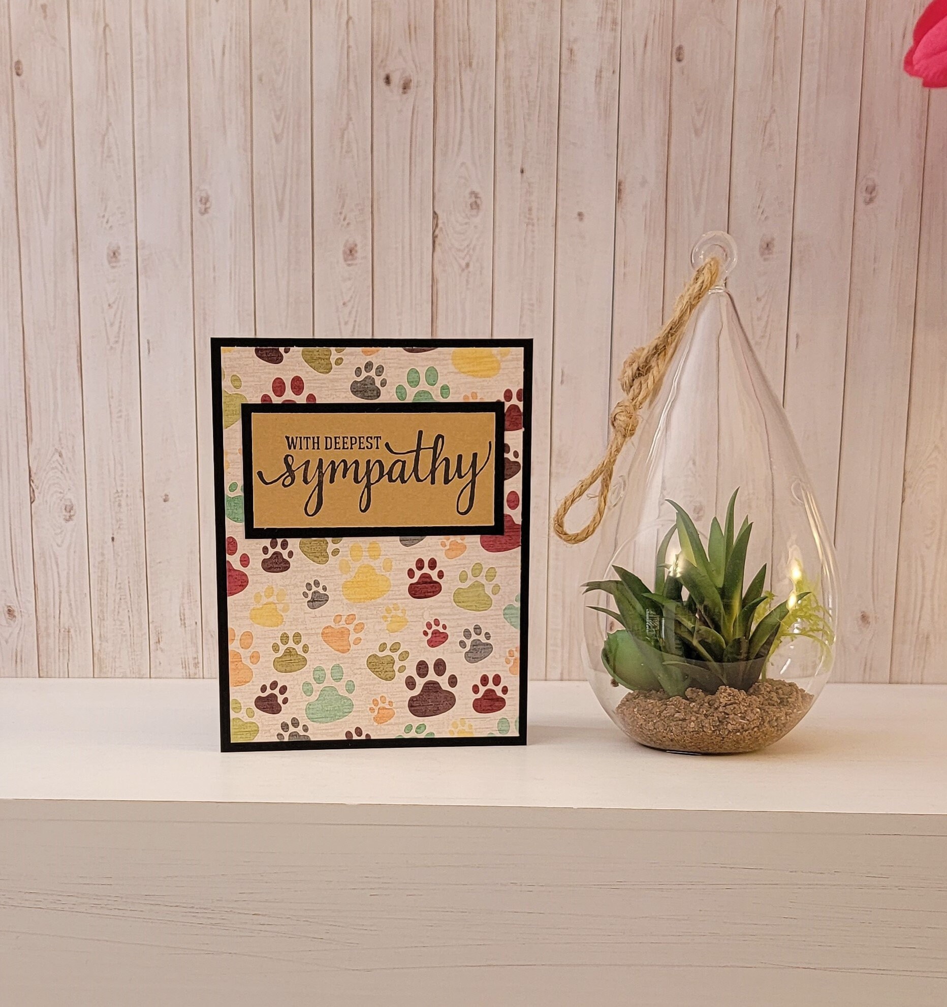 Paw Prints Sympathy Card Pack Pet Condolence Cards Dog Loss - Etsy