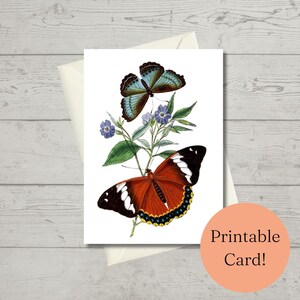 Printable Blank Greeting Thank You Birthday Sympathy Card