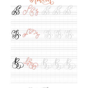 Hojas de práctica de caligrafía floreciente / 3 formas de crear letras florecientes / Caligrafía moderna / Letras con pincel imagen 5