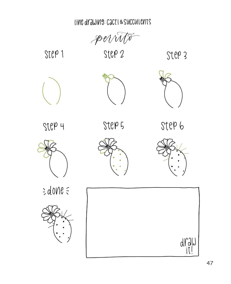 LIMITED EDITION Botanical Line Drawing: Cactus & Succulent ...