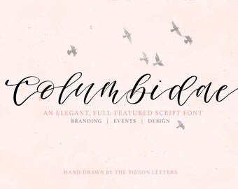 Columbidae EXTENDED License| A Hand Drawn Calligraphy Script Font | Stylistic Alternates | Ligatures | Full Feature Multilingual