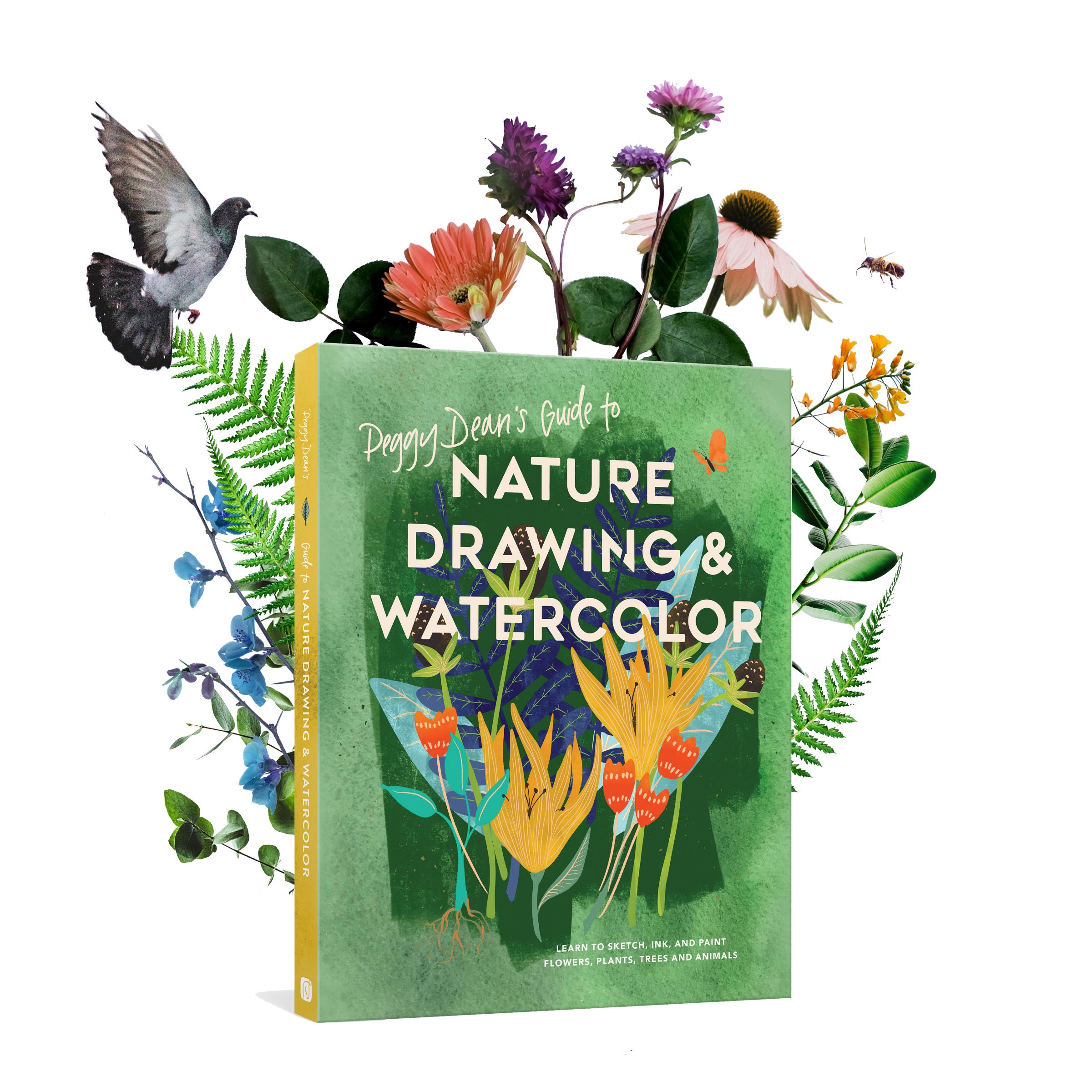 Peggy Deans Guide to Nature Drawing and Watercolor