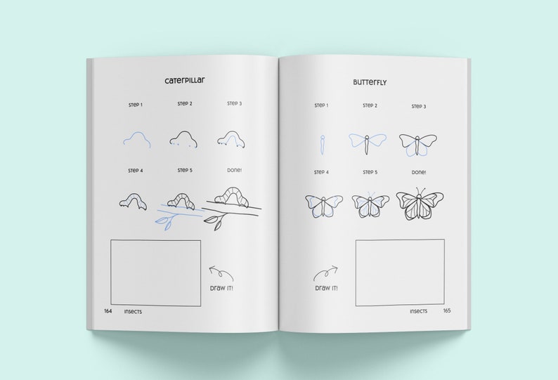 Livre broché sur le dessin au trait d'animaux: apprenez plus de 150animaux, insectes, oiseaux, poissons et autres mignonnes étape par étape image 7