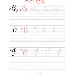 Hojas de práctica de caligrafía floreciente / 3 formas de crear letras florecientes / Caligrafía moderna / Letras con pincel imagen 6