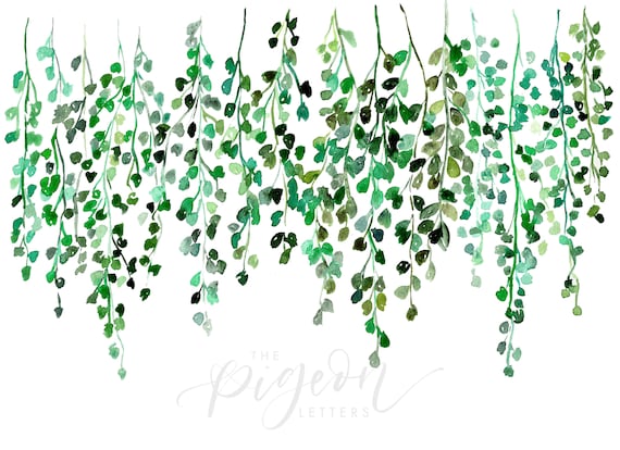 Hanging Vines Wall Print Secret Garden 