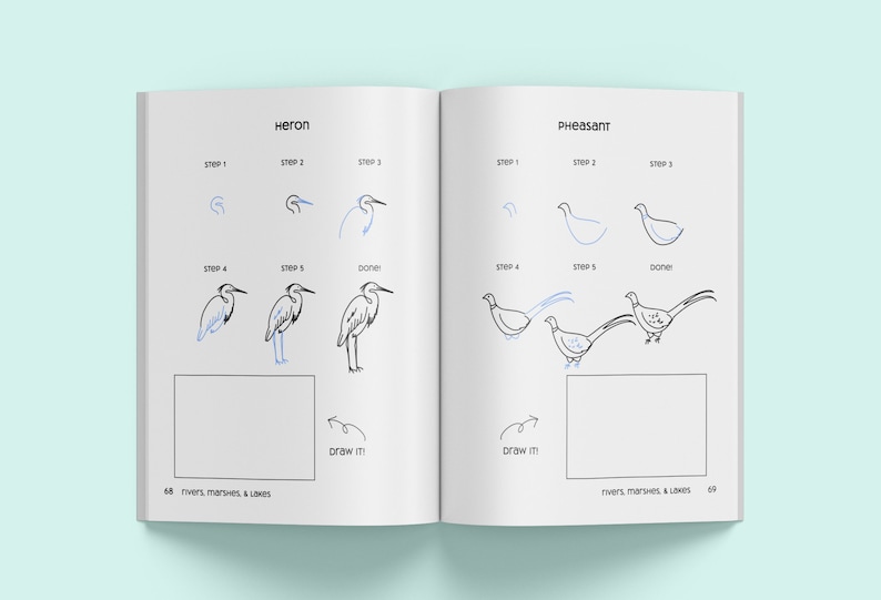 Livre broché sur le dessin au trait d'animaux: apprenez plus de 150animaux, insectes, oiseaux, poissons et autres mignonnes étape par étape image 9