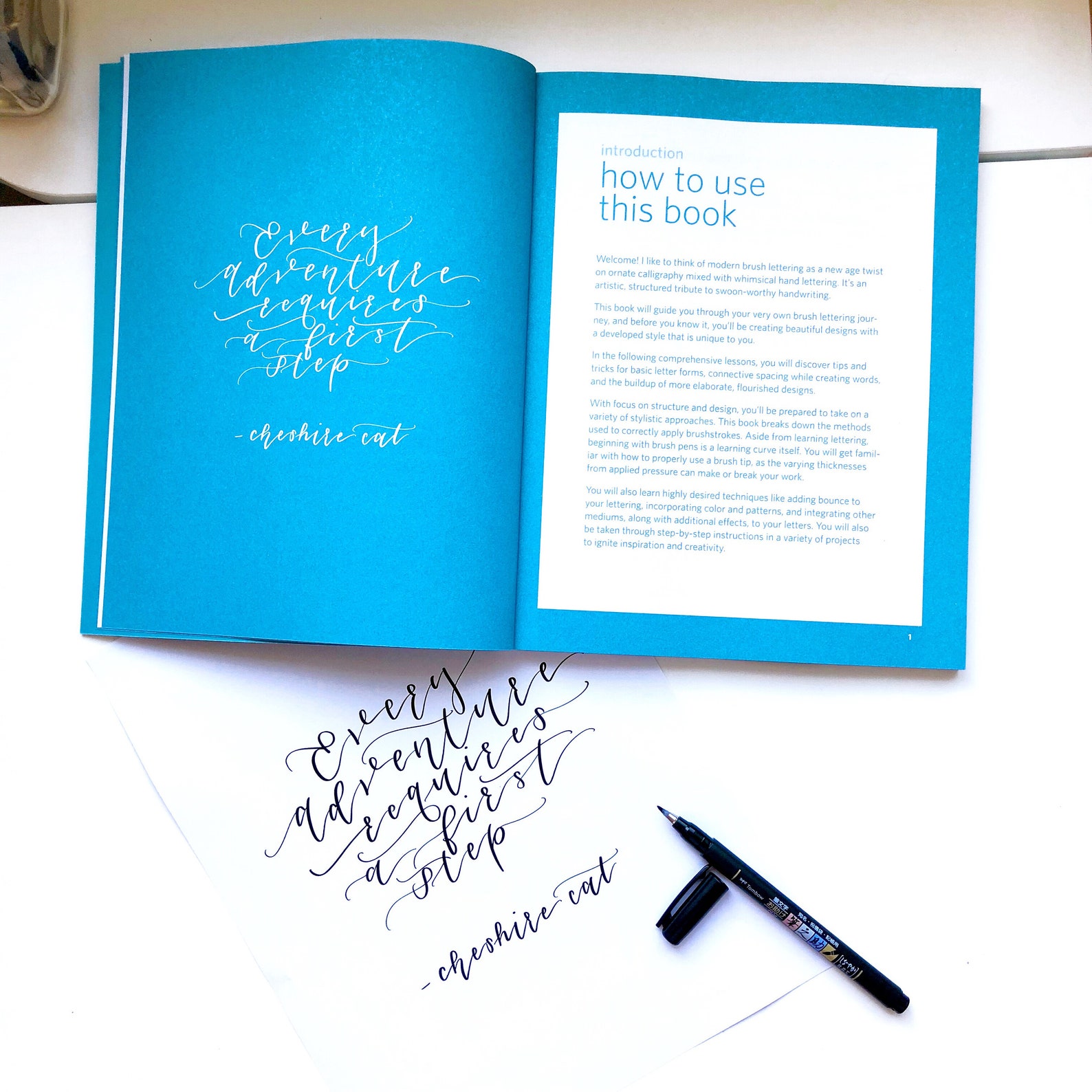 The Ultimate Brush Lettering Guide new Release Signed: A - Etsy