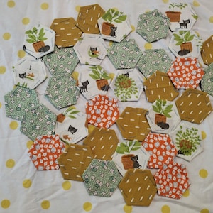Curious cat set of 35 paper pieced hexies