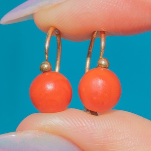 Antique French 18ct Gold Coral Lever-Back Earrings