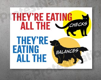 Checks and Balances PRINTABLE Protest Poster |  Anti Trump Protest Sign