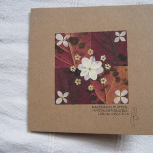 CARTE DES FLEURS avec de vraies fleurs & feuilles