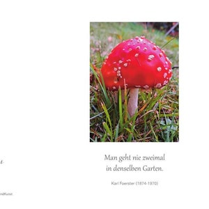 Vouwkaart FLY MUSHROOM print met tekst "From VERONIKA'S GARDEN"