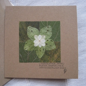 CARTE DES FLEURS avec de vraies fleurs & feuilles