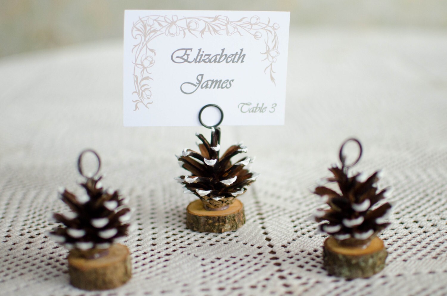 10 pcs White Tips Pine Cone Place Card Holders Rustic Woodland Etsy