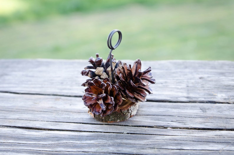 10 pcs Brown Tips Pine Cone Place Card Holders Rustic Woodland Wedding Escort Card Holders Fall Wedding Table Number Holders Photo Holders