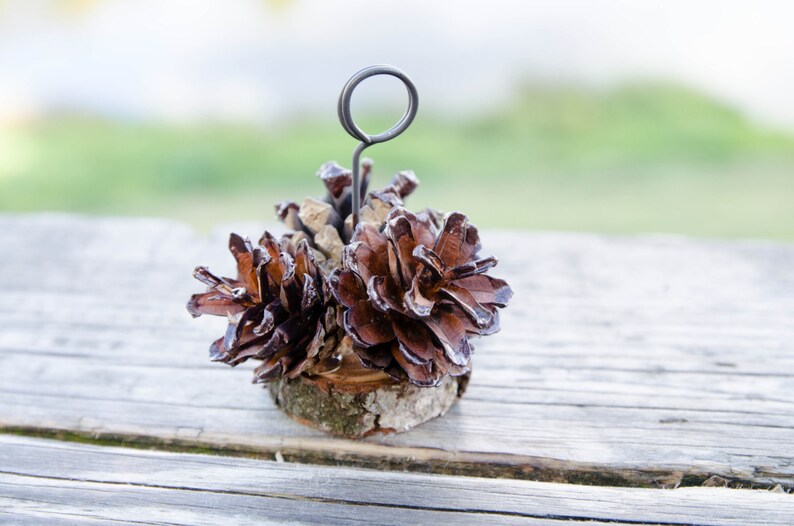 10 pcs Brown Tips Pine Cone Place Card Holders Rustic Woodland Wedding Escort Card Holders Fall Wedding Table Number Holders Photo Holders