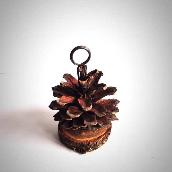 10 pcs Pine Cone Place Card Holders, Rustic Woodland Wedding,table number holder, name card holder, table number stand, rustic wedding decor