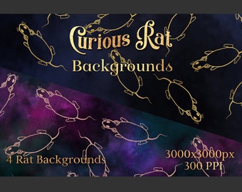 Curious Rat Backgrounds - 4 Image Set