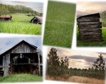 Cisco Farm Life Digital Backdrops (downloaded without watermark)