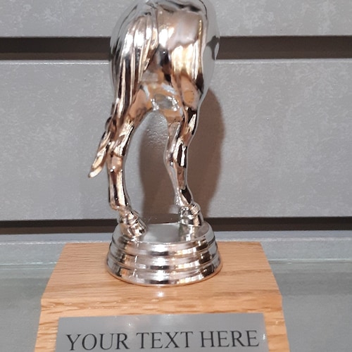 Funny Trophy with Custom Engraving Personalized Award with Your Text for Office or Family Fun Horse Butt Last Place