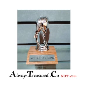 Last place award Bringing up the rear recognition trophy Kick Ass Award Last place Jackass Dumb Ass Biggest Ass award Trophy .75x3 gldTroPlt