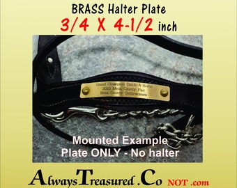 HALTER PLATE BRASS, Equine, horse-Halter-Name Plate - Custom Engraved, Real Brass, Made to Order  [rounded, 1/8 holes]
