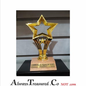 Puede incluir: Trofeo dorado con una parte superior en forma de estrella y una base de madera. La base tiene una placa con el texto "JANEAN RICHARDSON #15 DANDELIONS U-7 SPRING 2011".