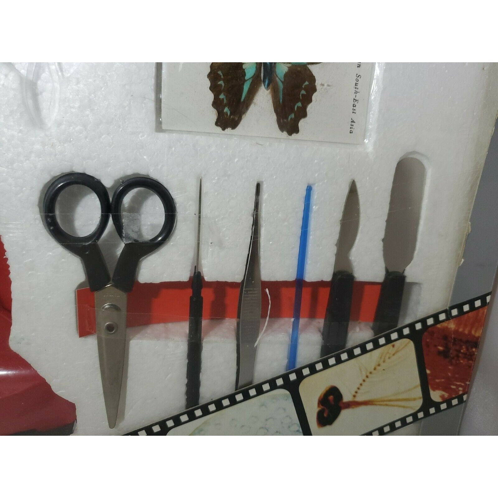 Tasco 1985 5way Microscope Kit 50X1200X Zoom New Open Box Etsy