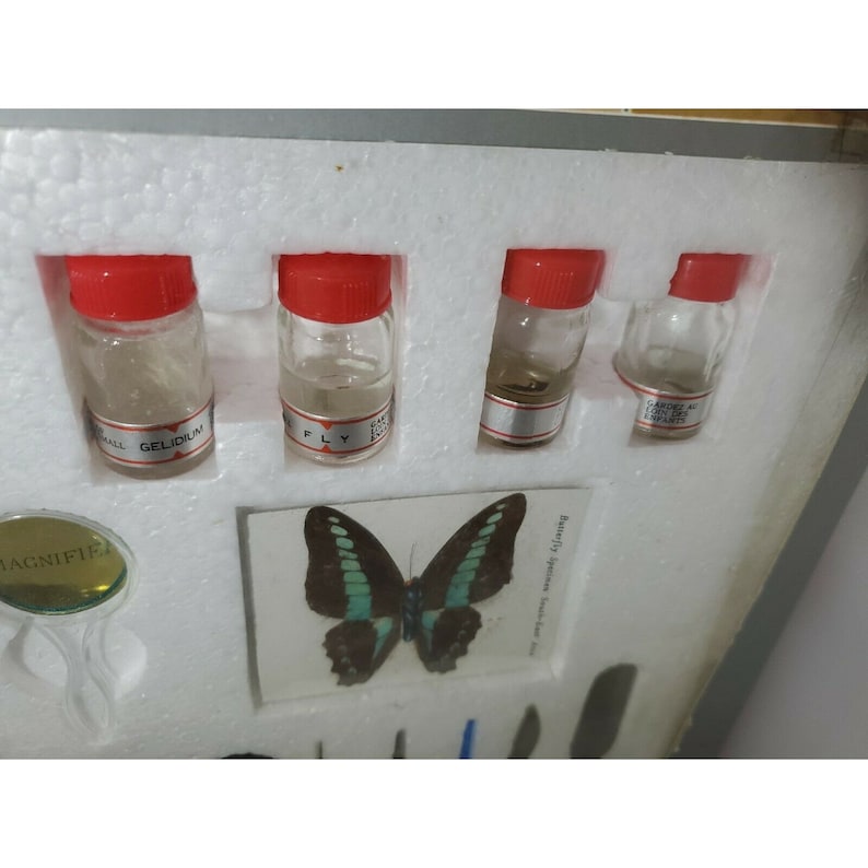 Tasco 1985 5way Microscope Kit 50X1200X Zoom New Open Box Etsy