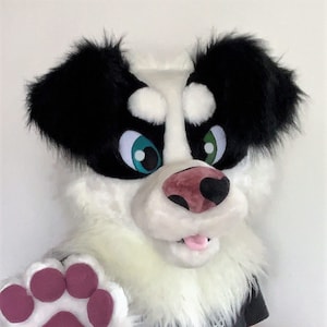 Premade dog fursuit head and hand paws, fursuit partial, furry mask, puppy fursuit, black and white oneandonlycostumes