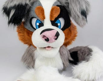 Premade Australian Shepherd Fursuit Head, Paws & Tail - Dog Furry Suit